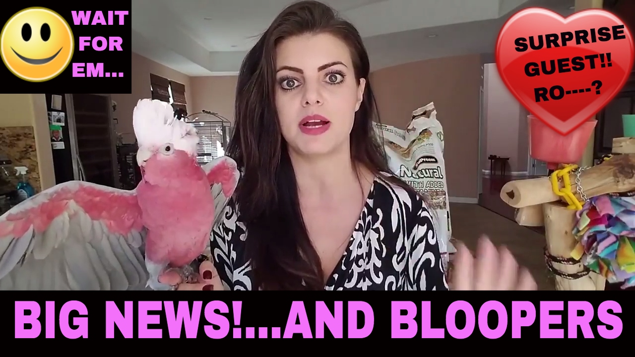 What To Feed Your Parrot?...Bloopers at End | PARRONT TIP TUESDAY