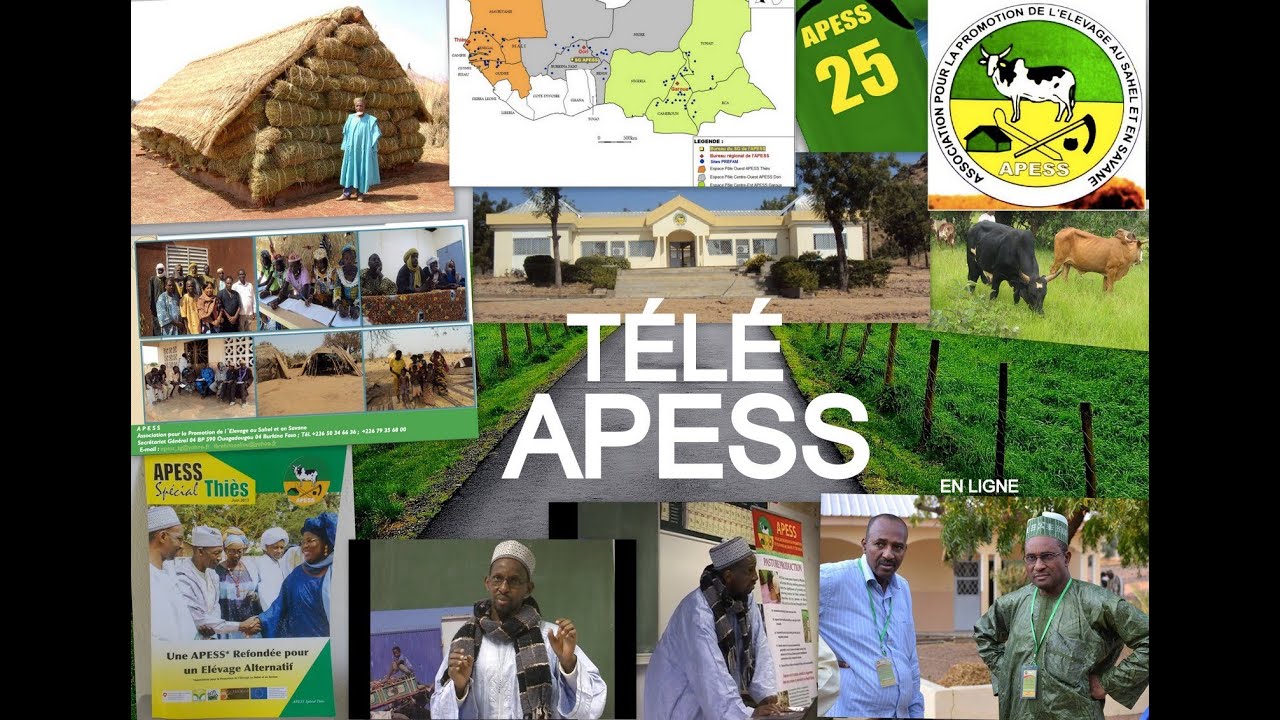 Film de présentation de l'APESS une association d'éleveurs au sahel et en savane