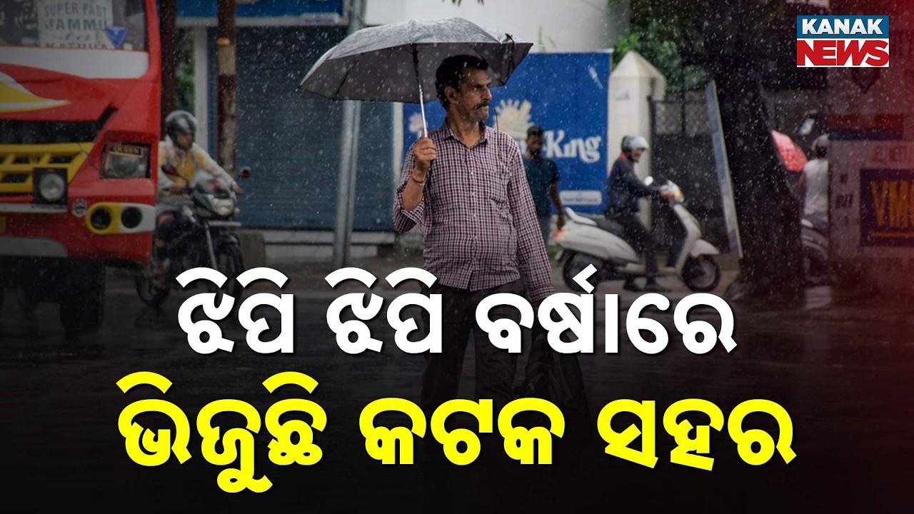 Cuttack Rain Update | Drizzle Continues as Low Pressure Brings Rain Across Odisha