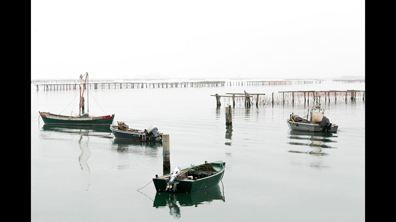 Delta del Po