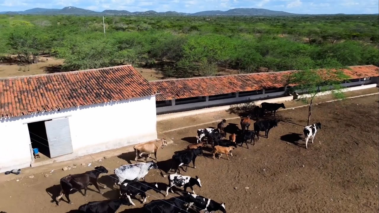 Fazenda de 682 hectares, localizado no estado de Alagoas