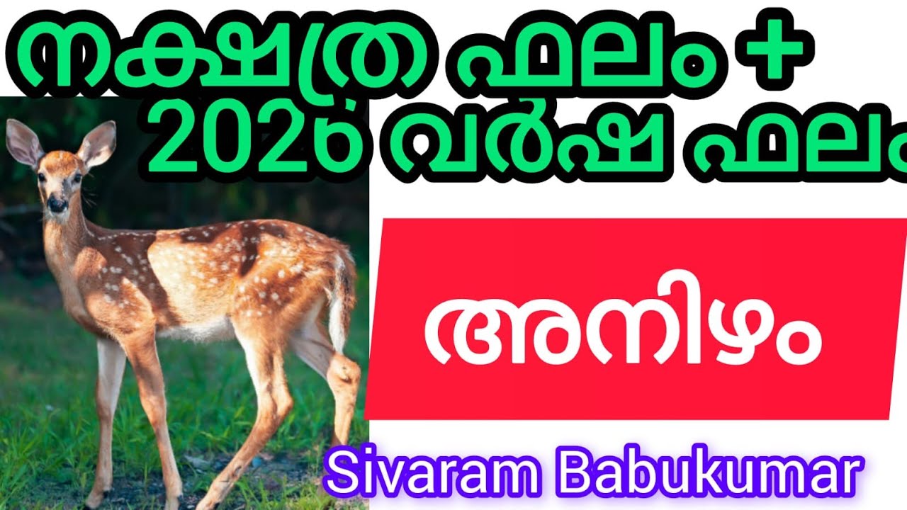 അനിഴം - ധന ഐശ്വര്യ സമയം വരവായി