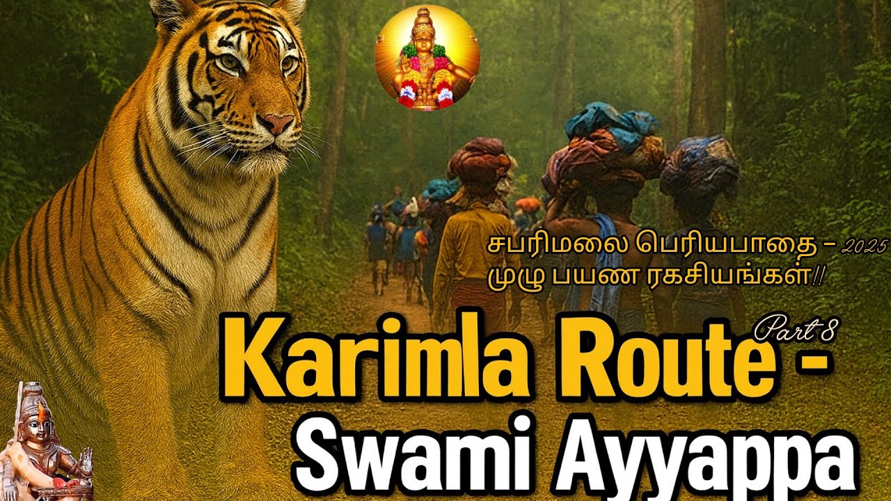 எருமெலி முதல் சபரிமலை… காட்டு பாதையின் உண்மை காட்சிகள் #sabarimala #treditional 