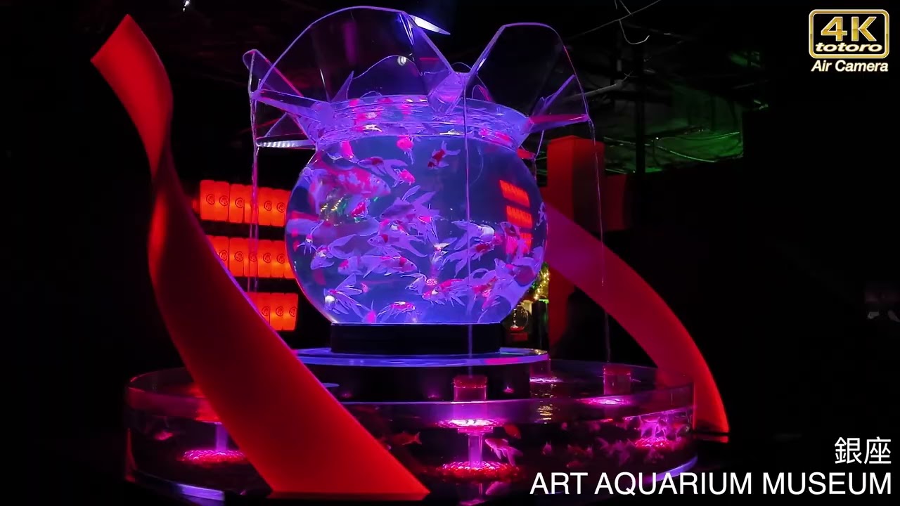 ART AQUARIUM MUSEUM 銀座金魚美術館