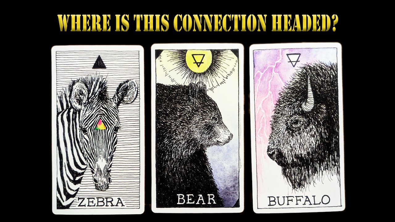 WHICH WAY YOUR CONNECTION IS GOING WITH THE PERSON ON YOUR MIND | Timeless Pick-a-Card Tarot Reading