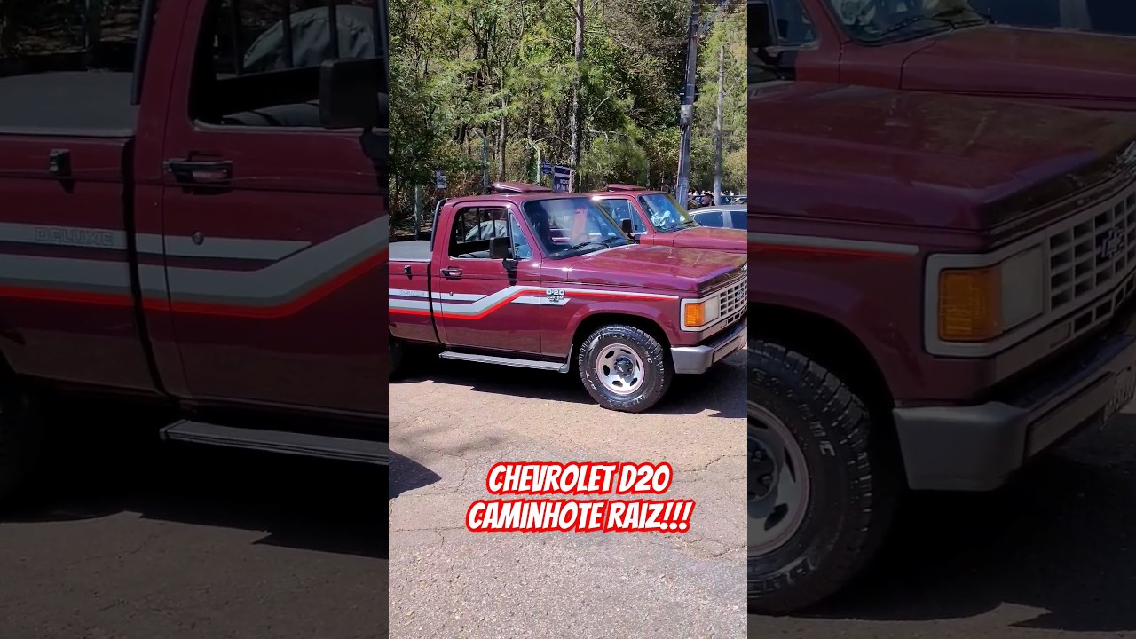 GM D20 placa preta impec&aacute;vel pick-up raiz #d20 #chevrolet #gm