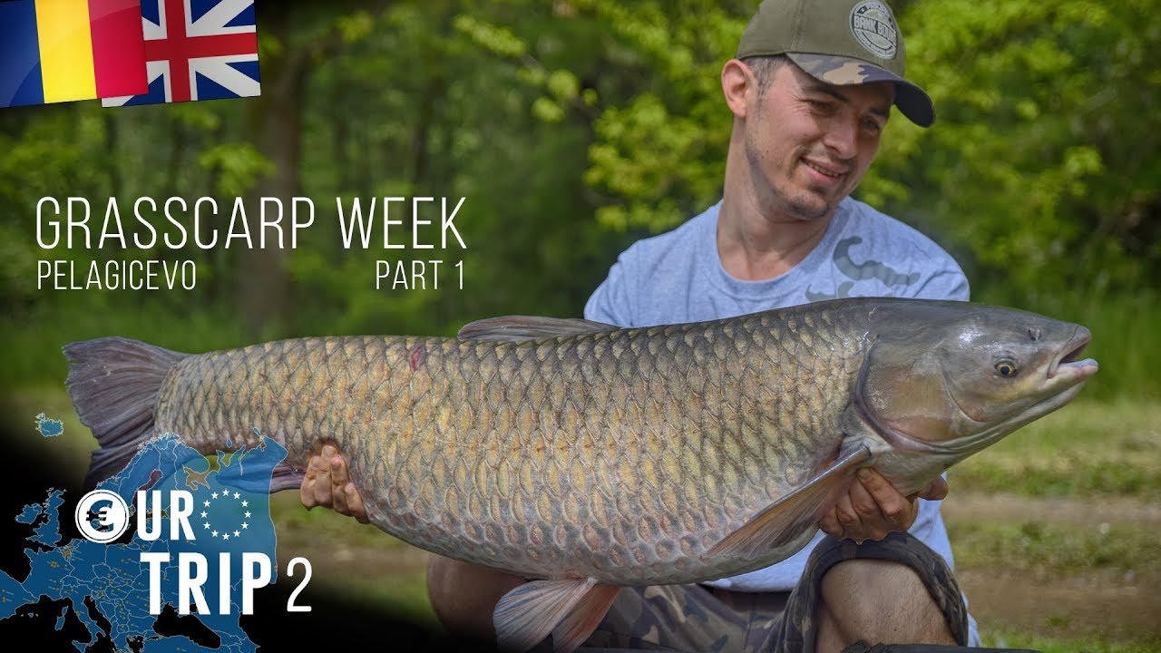 Eurotrip 2 - Saptamana tenilor pe Pelagicevo Partea 1