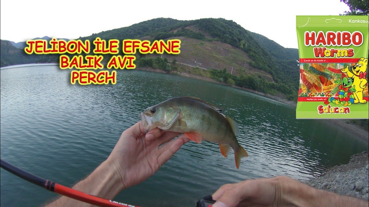 JELİBON İLE BALIK AVI ( LRF PERCH ) FISHING WITH HARİBO JELİBON (LRF PERCH)