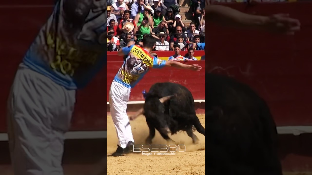 QUIEBRO A UN TORO BRAVO EN VALENCIA #bulls #tricks #player