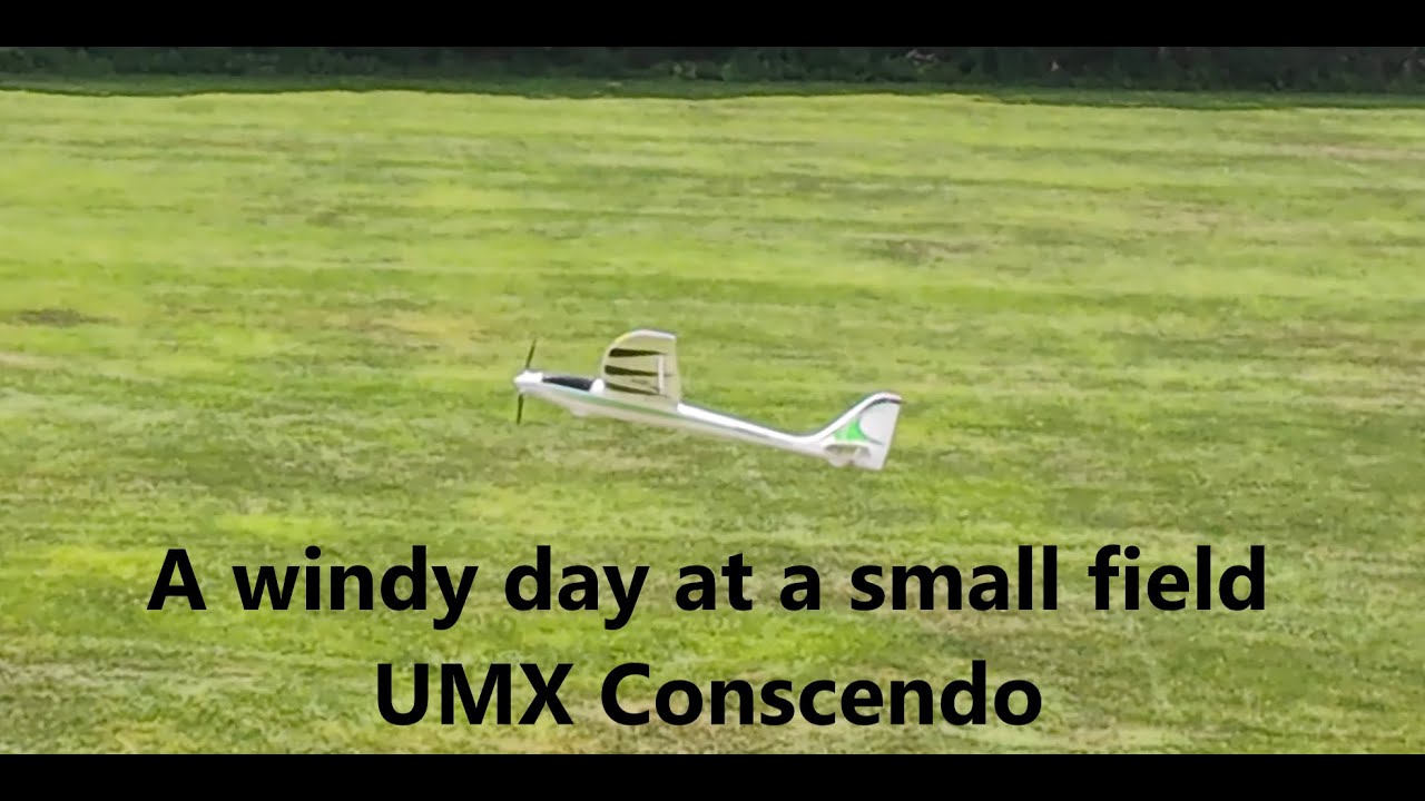 Flying at a small field on a windy day - UMX Conscendo flies low across the field