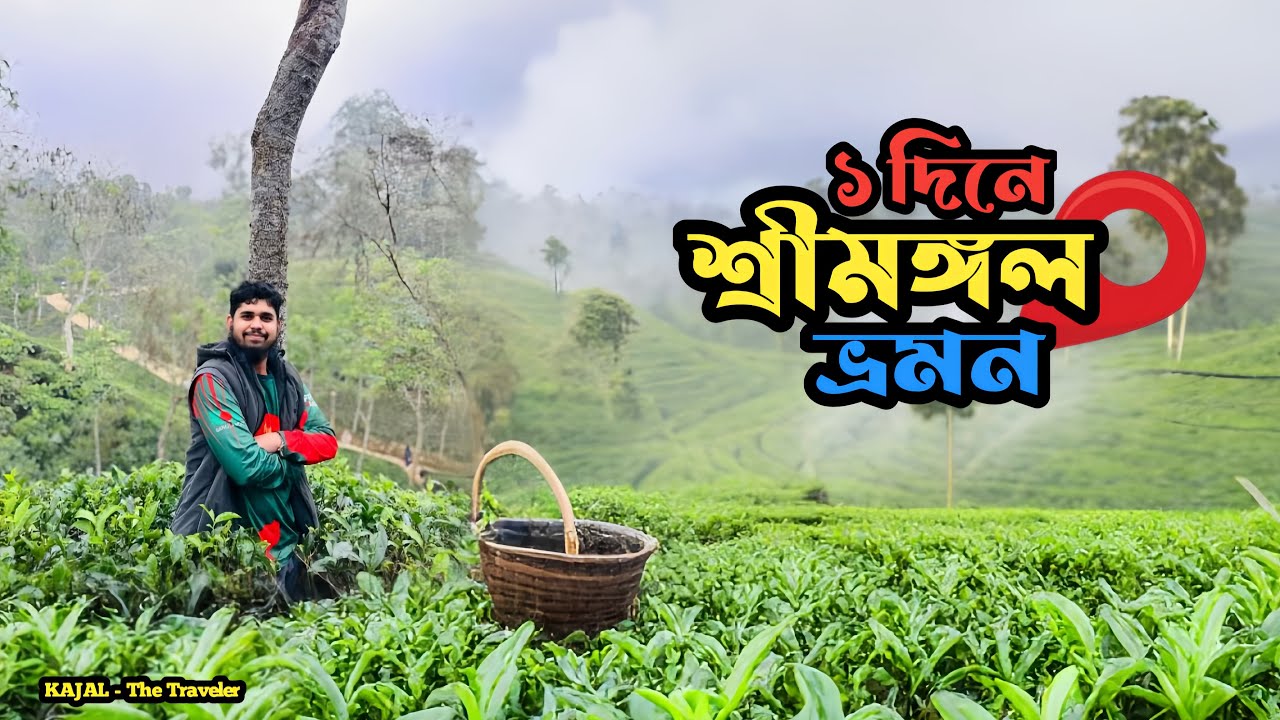  ১ দিনে শ্রীমঙ্গল ভ্রমণ। আপনি যদি একদিনের জন্য শ্রীমঙ্গল যেতে চান তাহলে এই ভিডিওটি আপনার জন্যই।