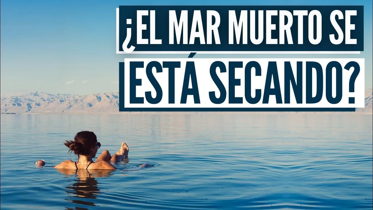 HAY VIDA EN EL MAR MUERTO? Profec&iacute;as y hallazgos en el lugar m&aacute;s profundo del planeta!