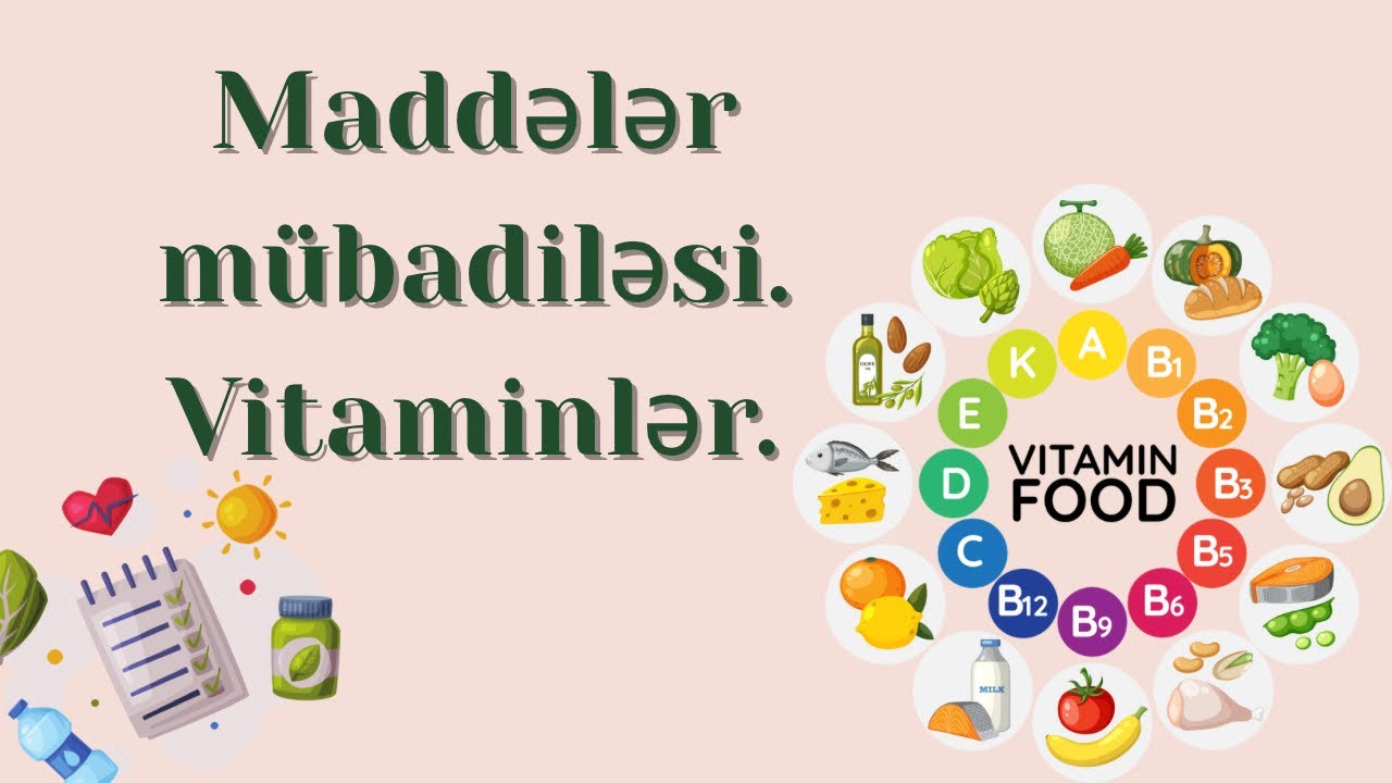 Vitaminlər və Maddələr Mübadiləsi | Biologiya Test Toplusu İzahı | DİM