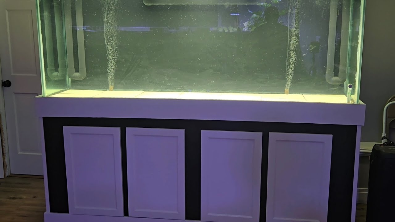 FINISHING UP FILTRATION ON MY 250G TANK...