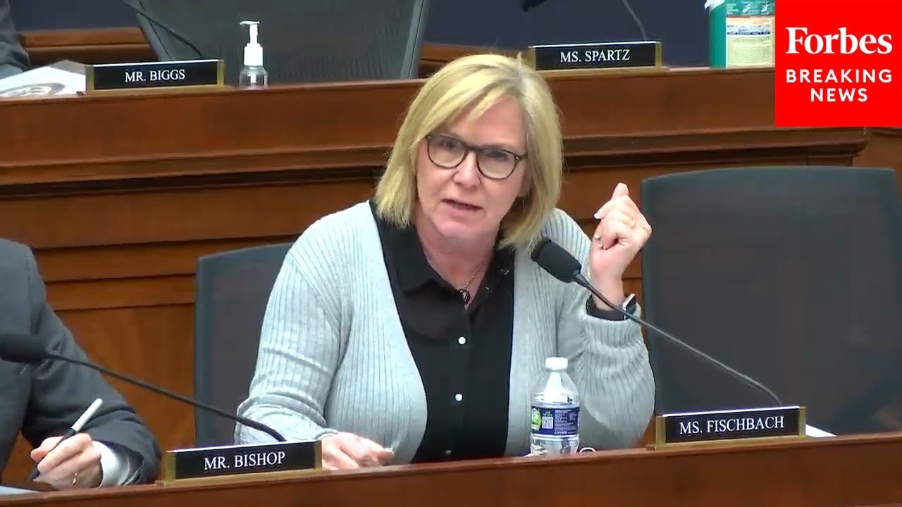 'Abortion Does Not Help Women': Fischbach Speaks Against Abortion During House Hearing