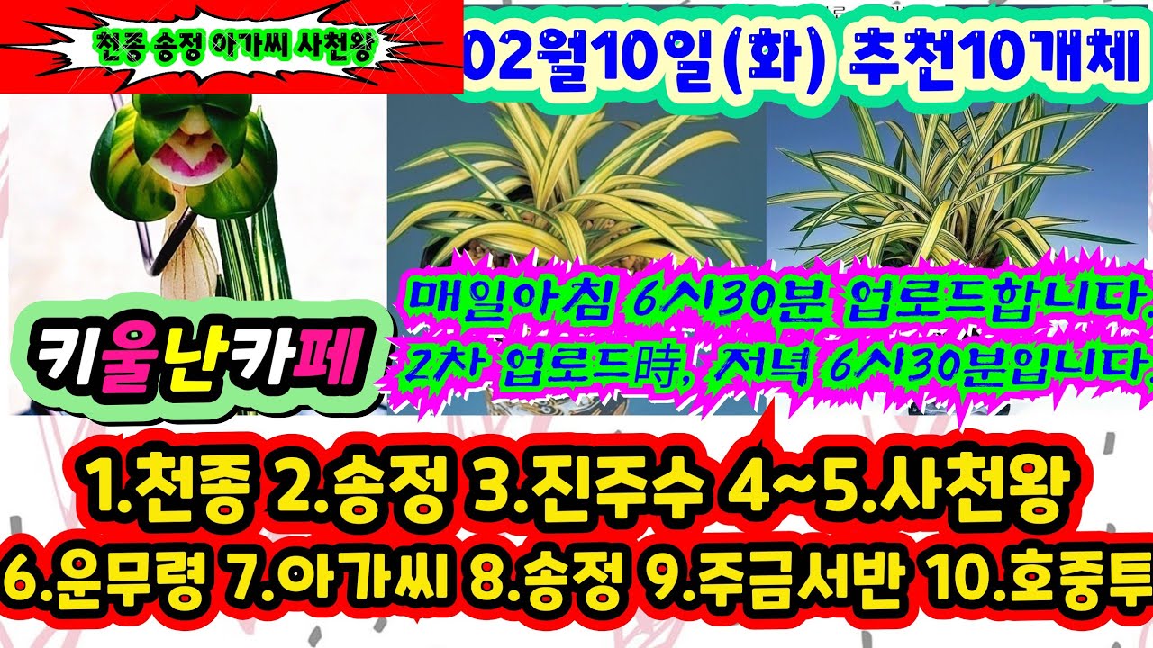 02/10(화) #키울난카페 [1.천종 2.송정 3.진주수 4~5. 사천왕 6.운무령 7.아가씨 8.송정 9.주금서반 10.호중투]