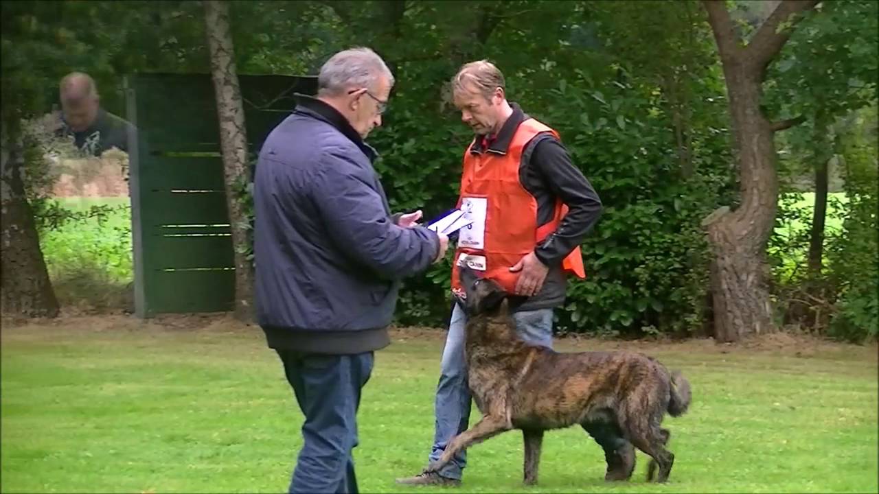 KNPV Najaarskeuring 2016  Jan van Dijk  en Tino Kleine Schaars