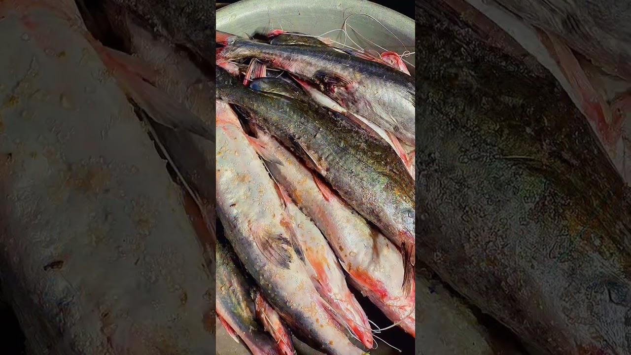 After all the music sales at Howrah Market! 🇮🇳  Follow back! 🙏 #HowrahMarket #India #Seafood # viral