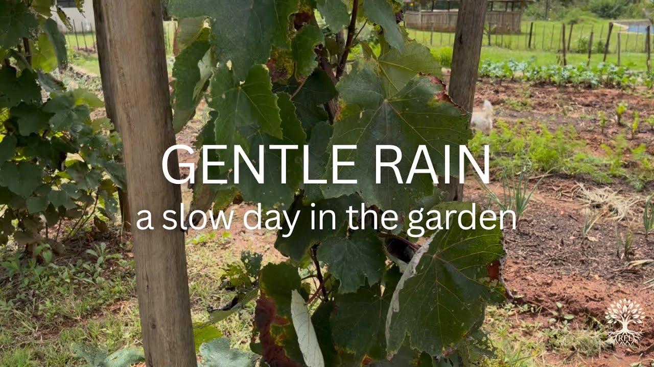 A Quiet Farm Day | Rain, Garden & Psalm 23