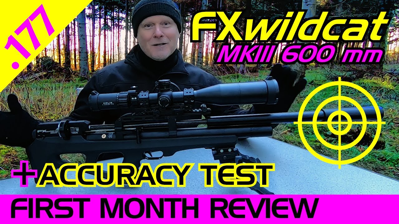 FX Wildcat MK3 600 mm First Month Review and Accuracy Test