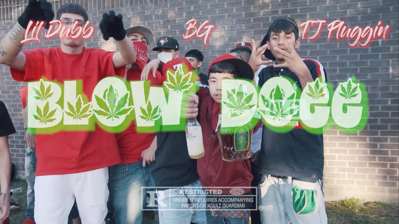 BLOW DOEE - LIL DUBB ( FEAT - BG , TJ PLUGGIN )