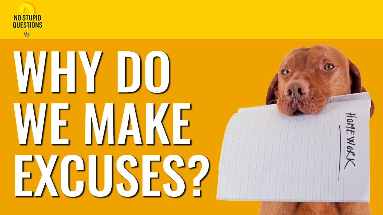 216. Why Do We Make Excuses? | No Stupid Questions