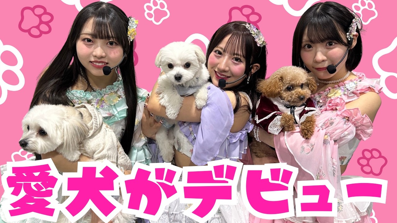 【わんにゃんドーム】愛犬たちと初仕事！【SKE48】