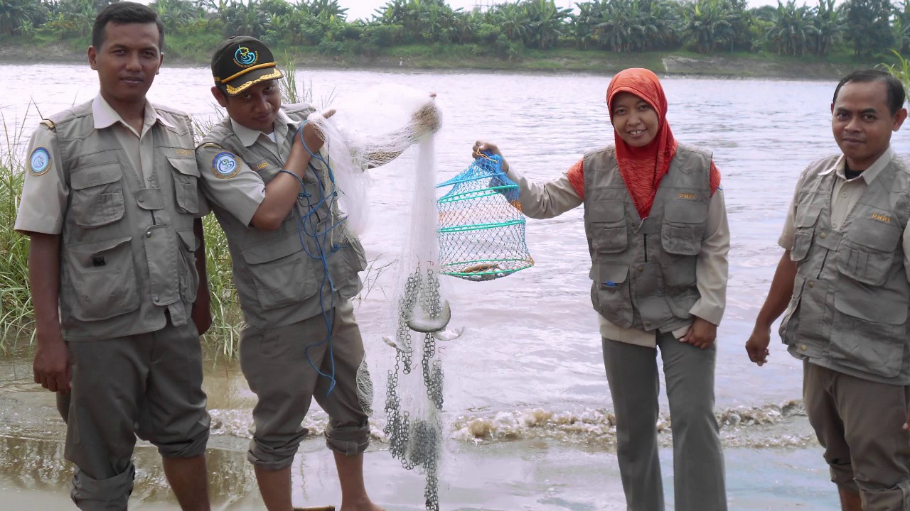 Profil Balai Karantina Ikan Pengendalian Mutu dan keamanan Hasil Perikanan Kelas I Surabaya I