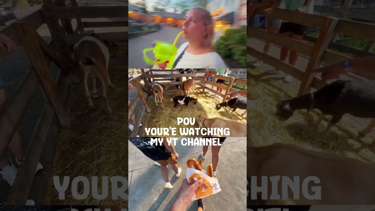 Part 2 of Ohio vlog is up! #amusementpark #couplesvlogs