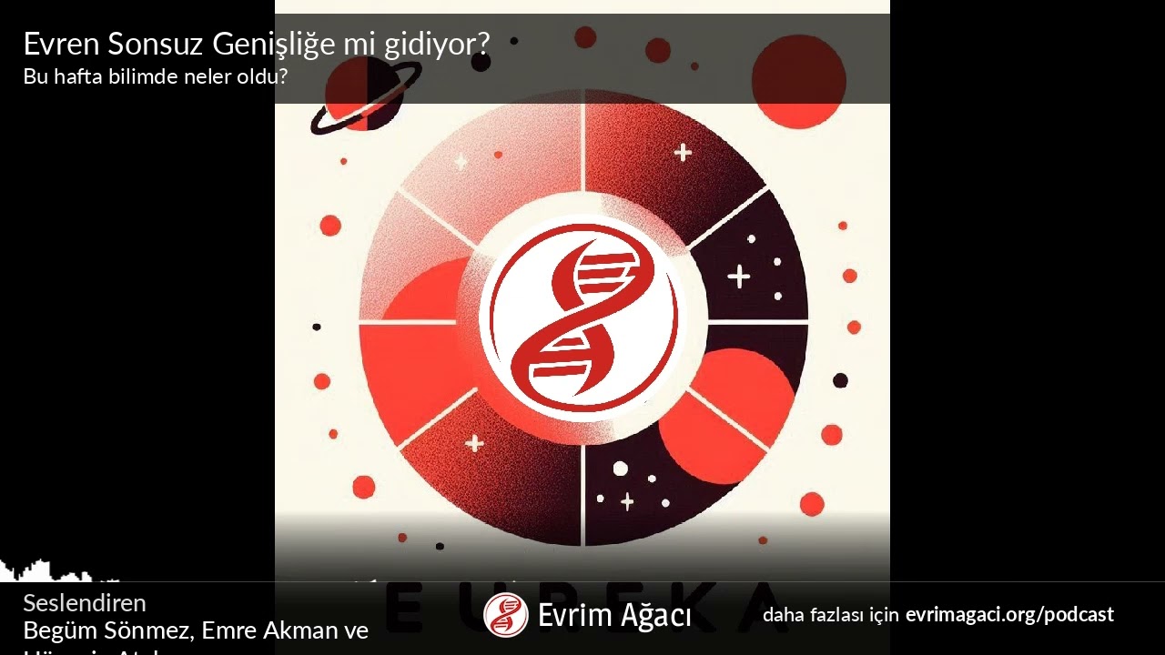 Evren Sonsuz Genişliğe mi gidiyor?