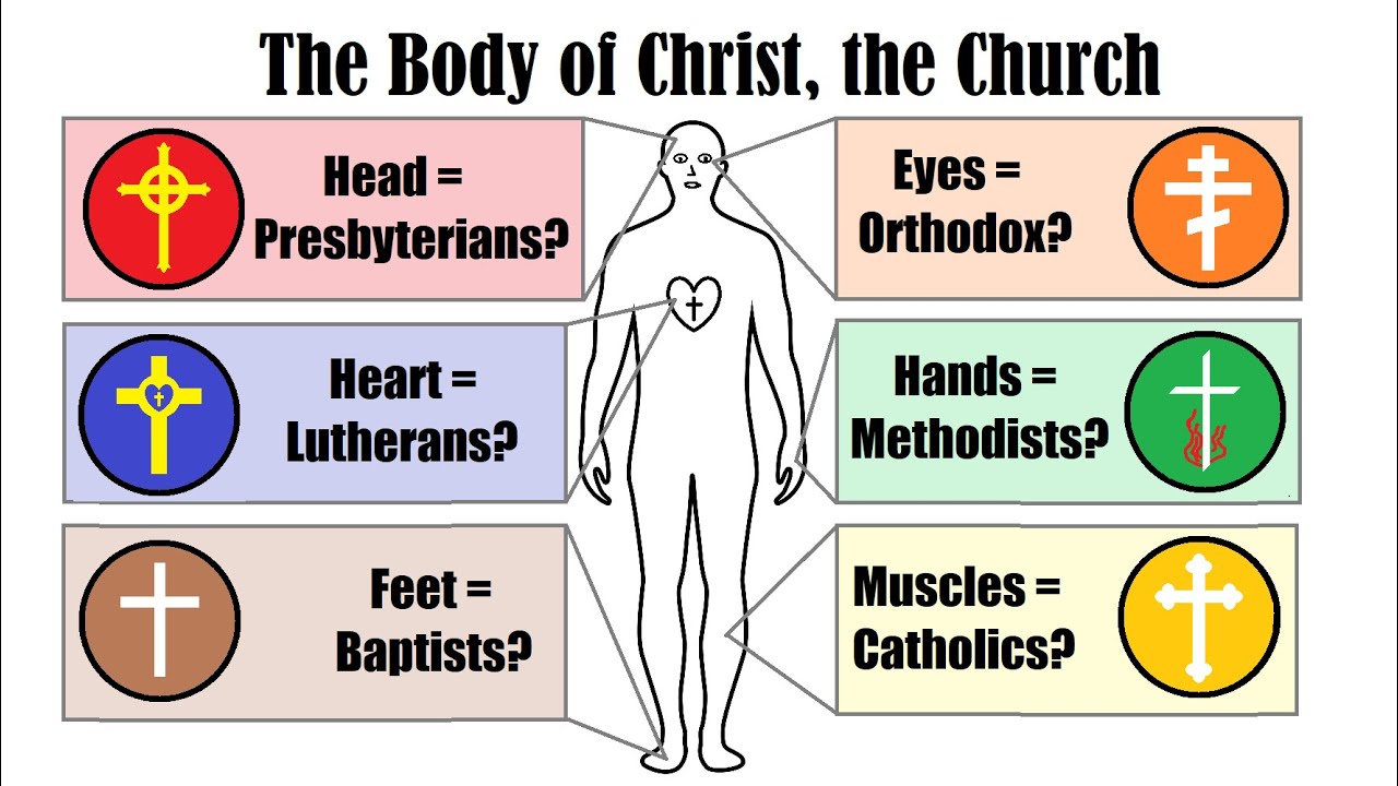 Different denominations are a GOOD THING??