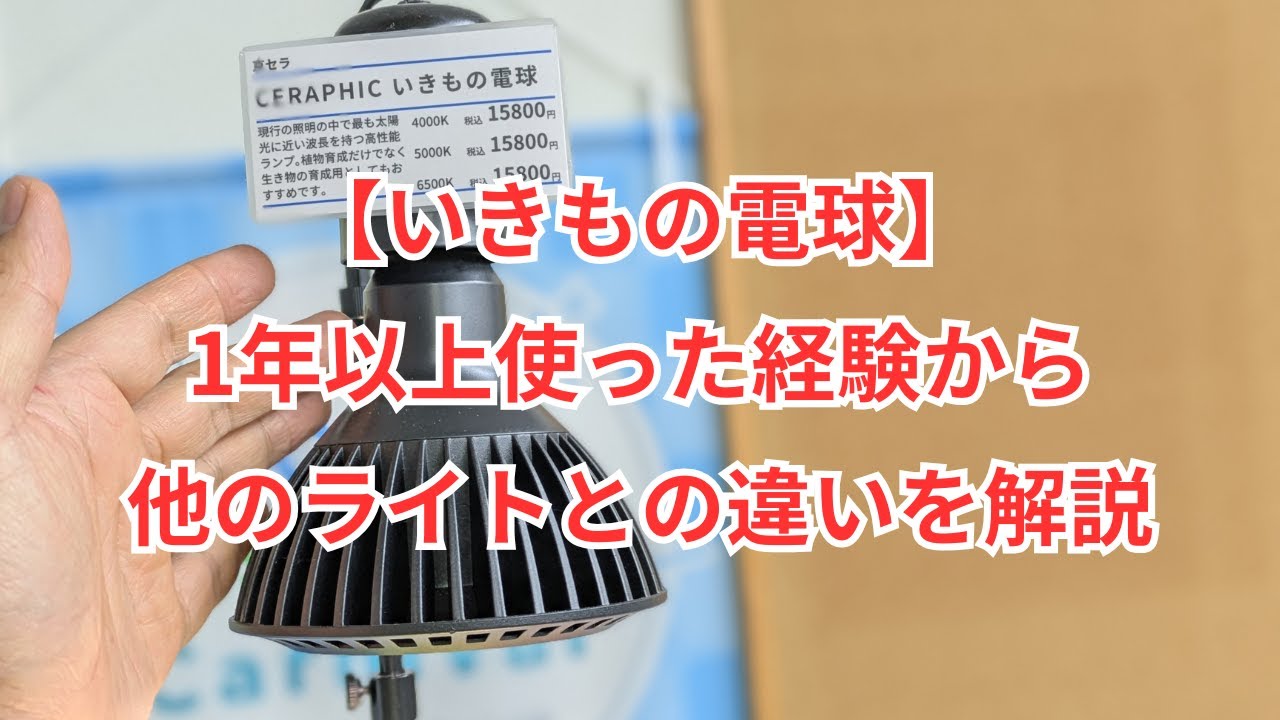 【いきもの電球】1年以上使った経験から普通のライトとの違いを解説します