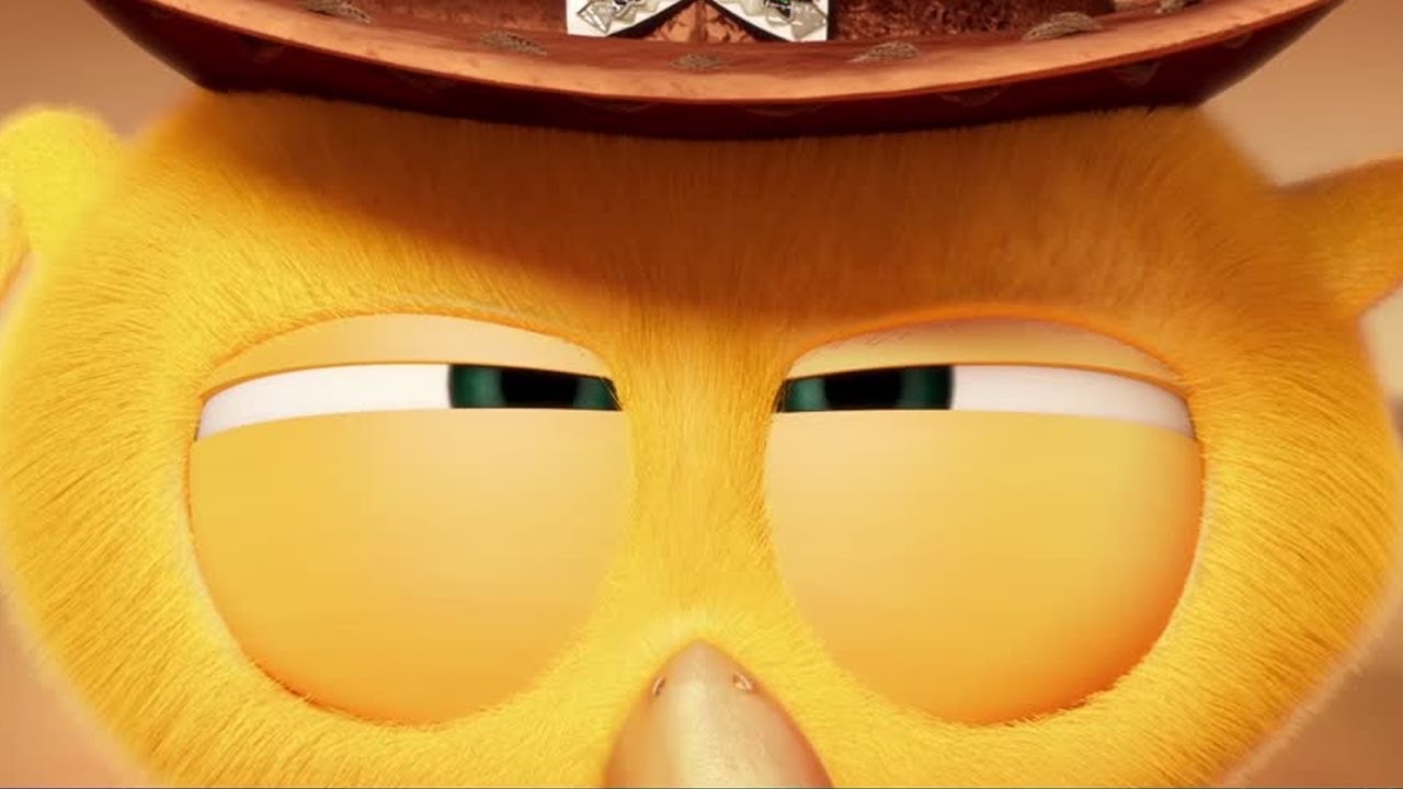 Chicky, apprentice cowboy | Where's Chicky? | Cartoon Collection in English for Kids | New episodes
