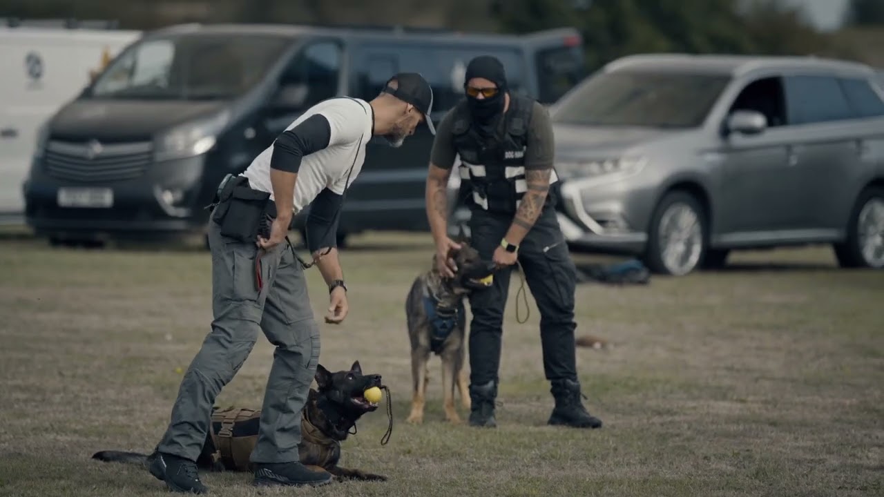 K-9-Sharks