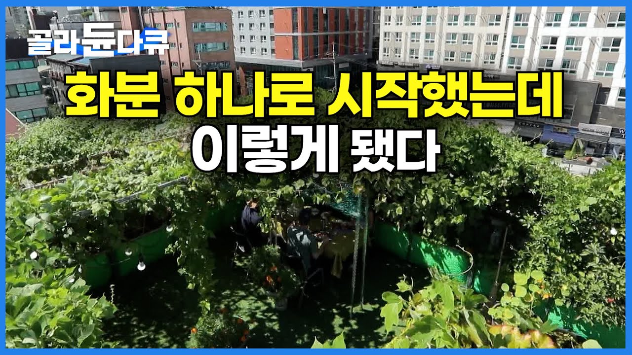 강남 한복판 빌라 옥상에 무슨 일이?ㅣ화분 하나로 시작해서 13년째 옥상 키우는 수상한 남자의 이야기ㅣ한국기행│#골라듄다큐