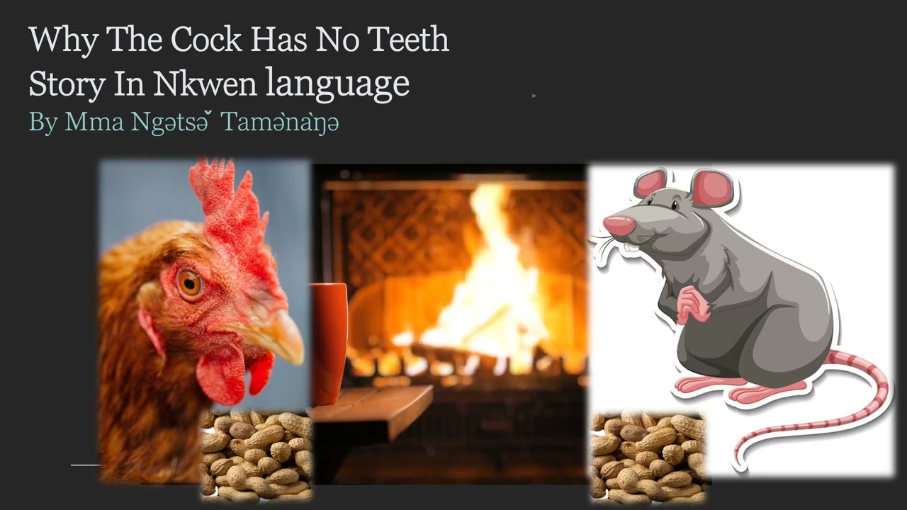Why The Cock Has No Teeth Story In Nkwen language