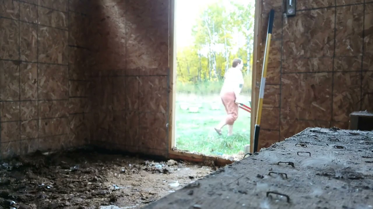 Duck Coop Cleaning and Deep Litter Method