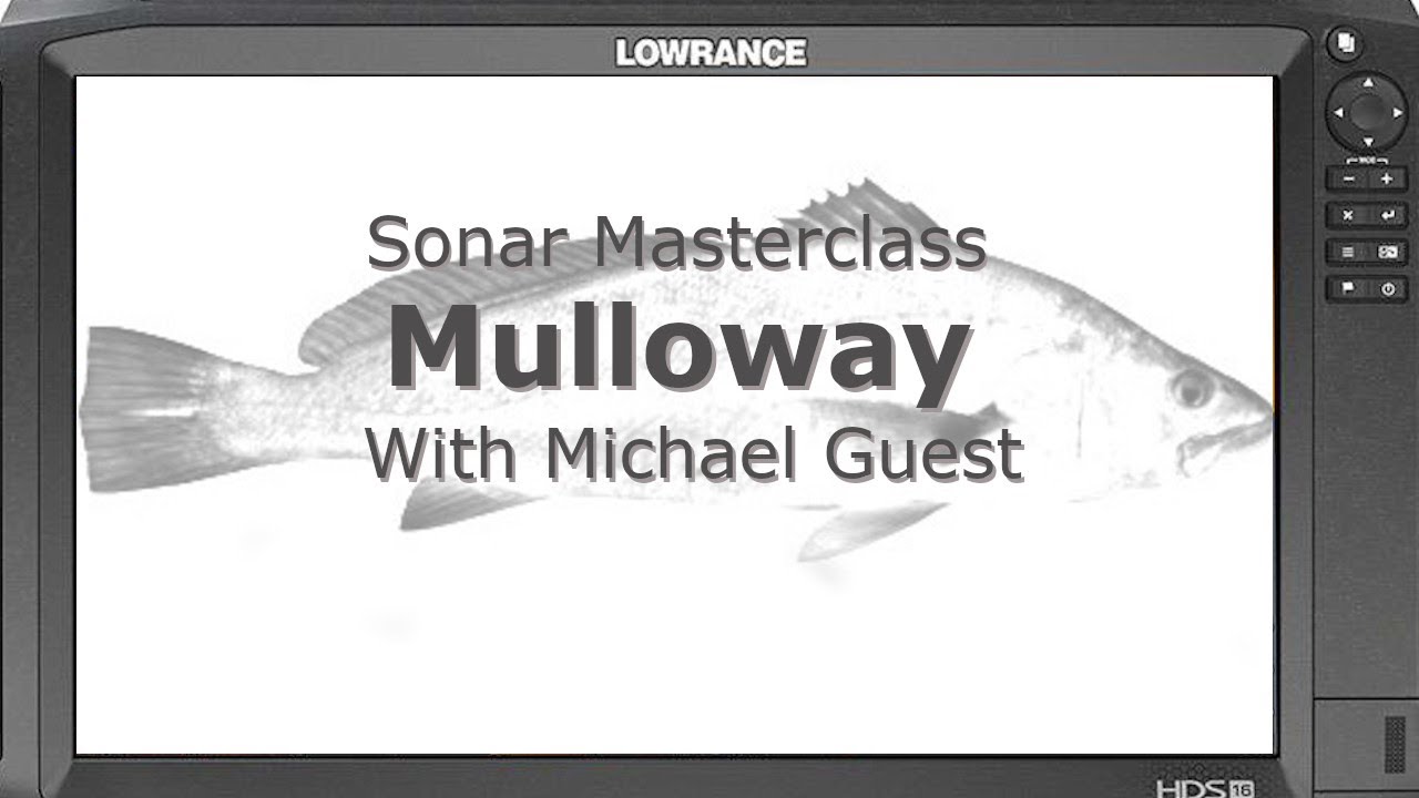Sonar Masterclass: Michael Guest On How To Target Mulloway Using Your Sonar