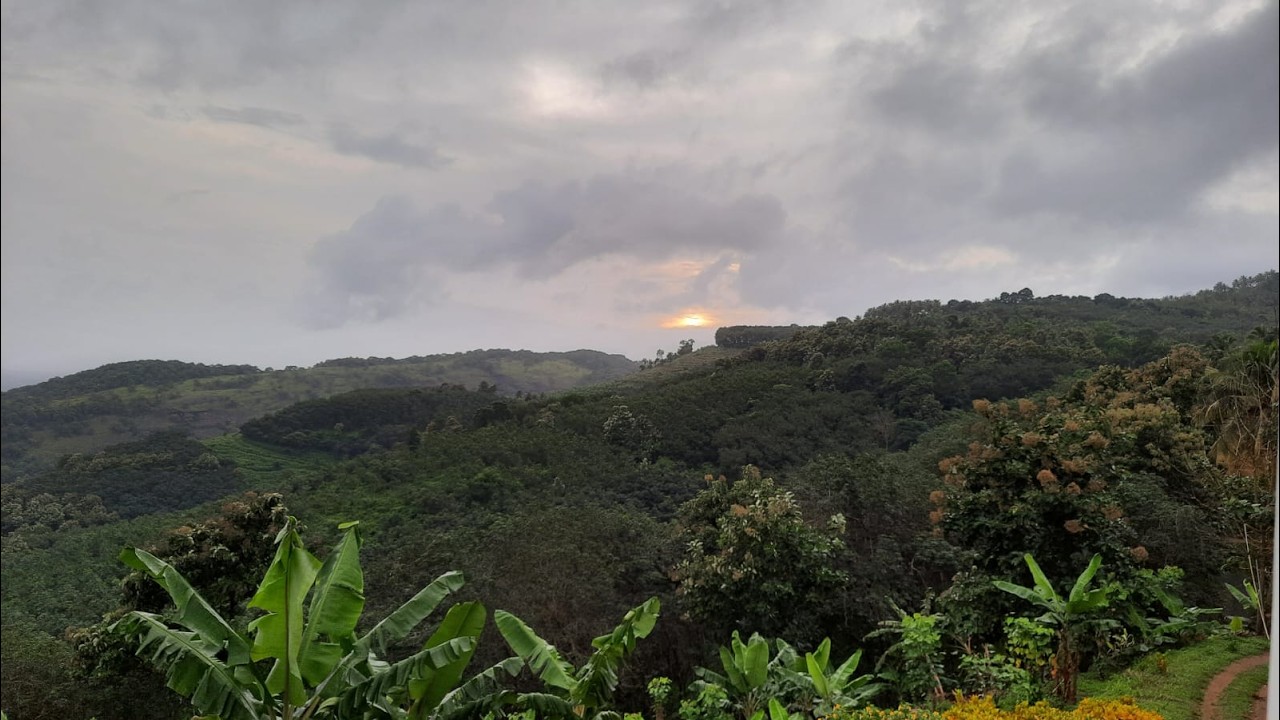Premium 27-acre rubber & pepper estate for sale
