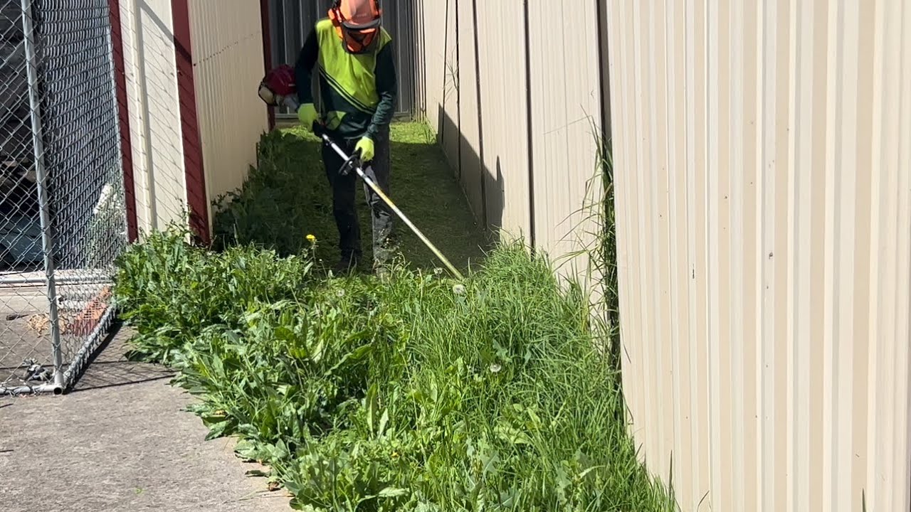 Satisfying Ride On Lawn Mowing Overgrown Grass Clean Up Elderly Pensioner