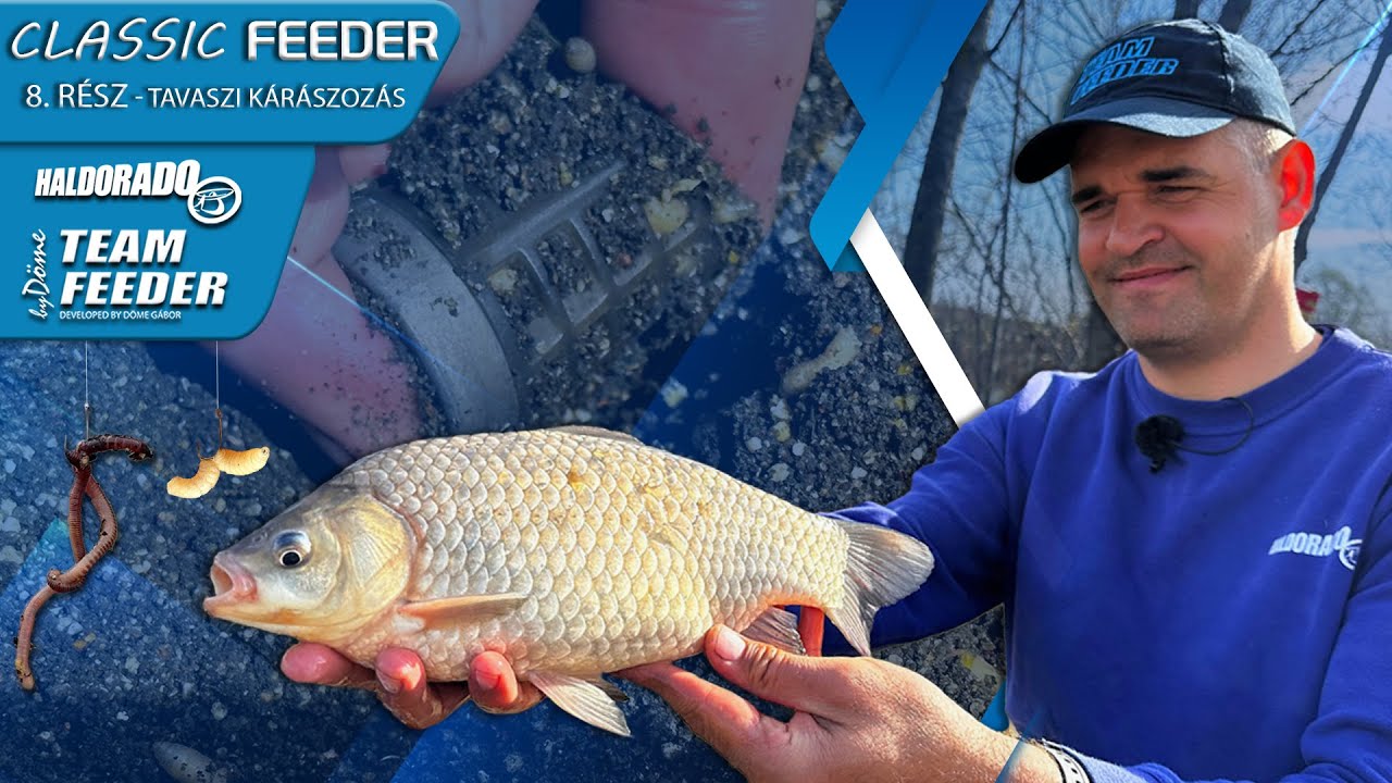 Sipos Gábor - A classic feeder 8. rész – Tavaszi kárászozás