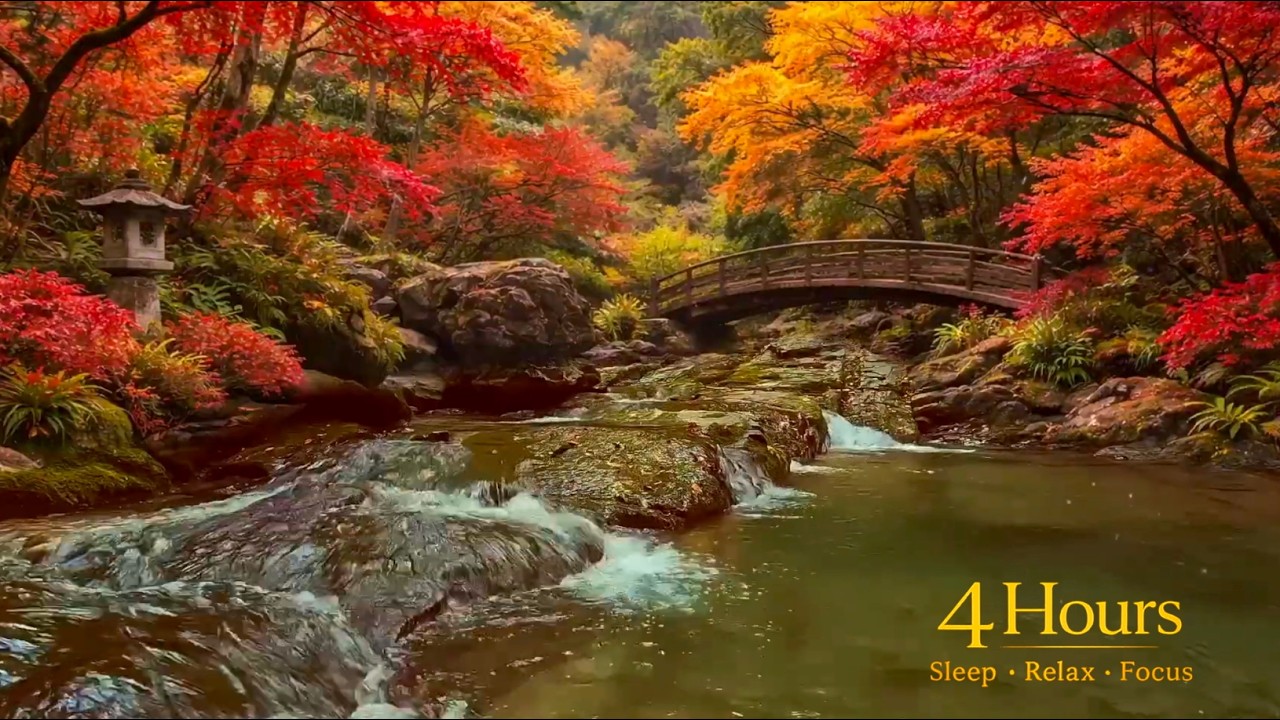 Japanese Autumn Forest 4 Hours I Relaxing River & Bird Sounds for Sleep & Deep Relaxation