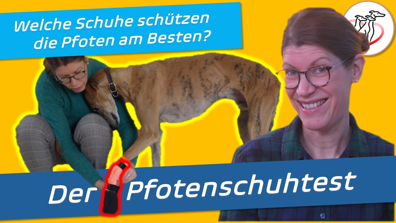 Wie schützt DU die Pfoten deines Hundes? Mein Erfahrungsbericht