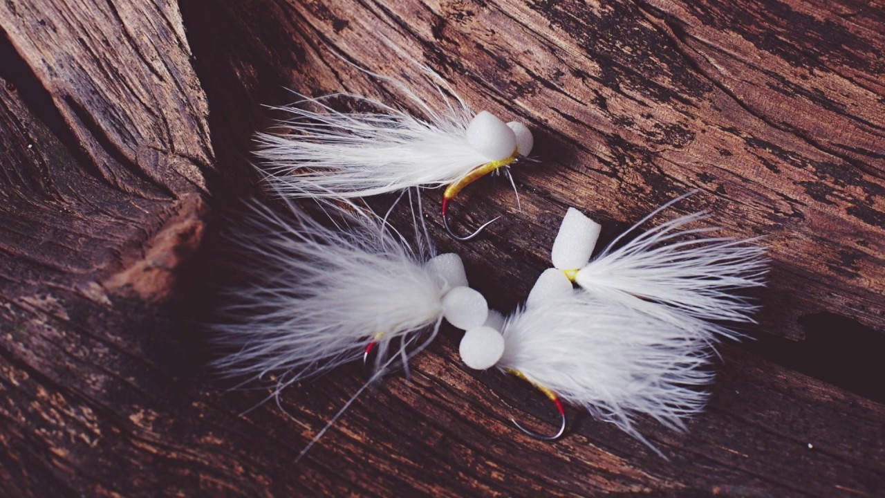 Small booby Fly!