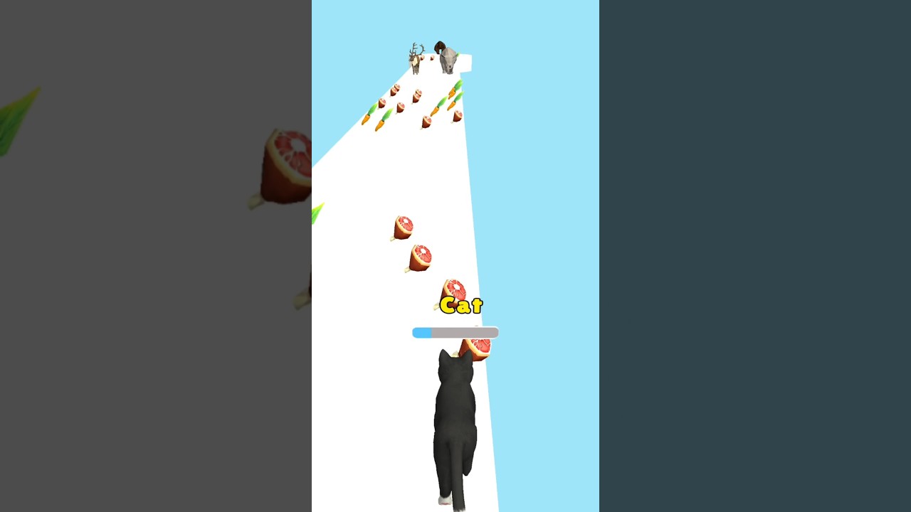 Cat evolution game part 01 