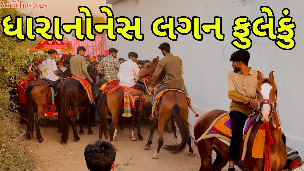 ધારાનોનેસ લગન ફુલેકુ || kathiyawadi fuleku || lagan nu fuleku || ghoda || horseriding 