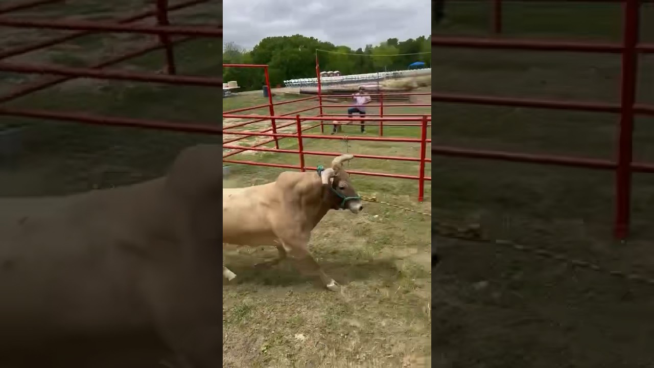 El G63 alcanza a Caporal en su primer Presentaci&oacute;n de este 2024