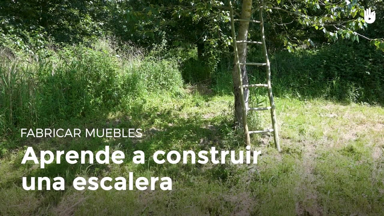 C&oacute;mo construir una escalera con ramas | Construye en la naturaleza como un Boy Scout