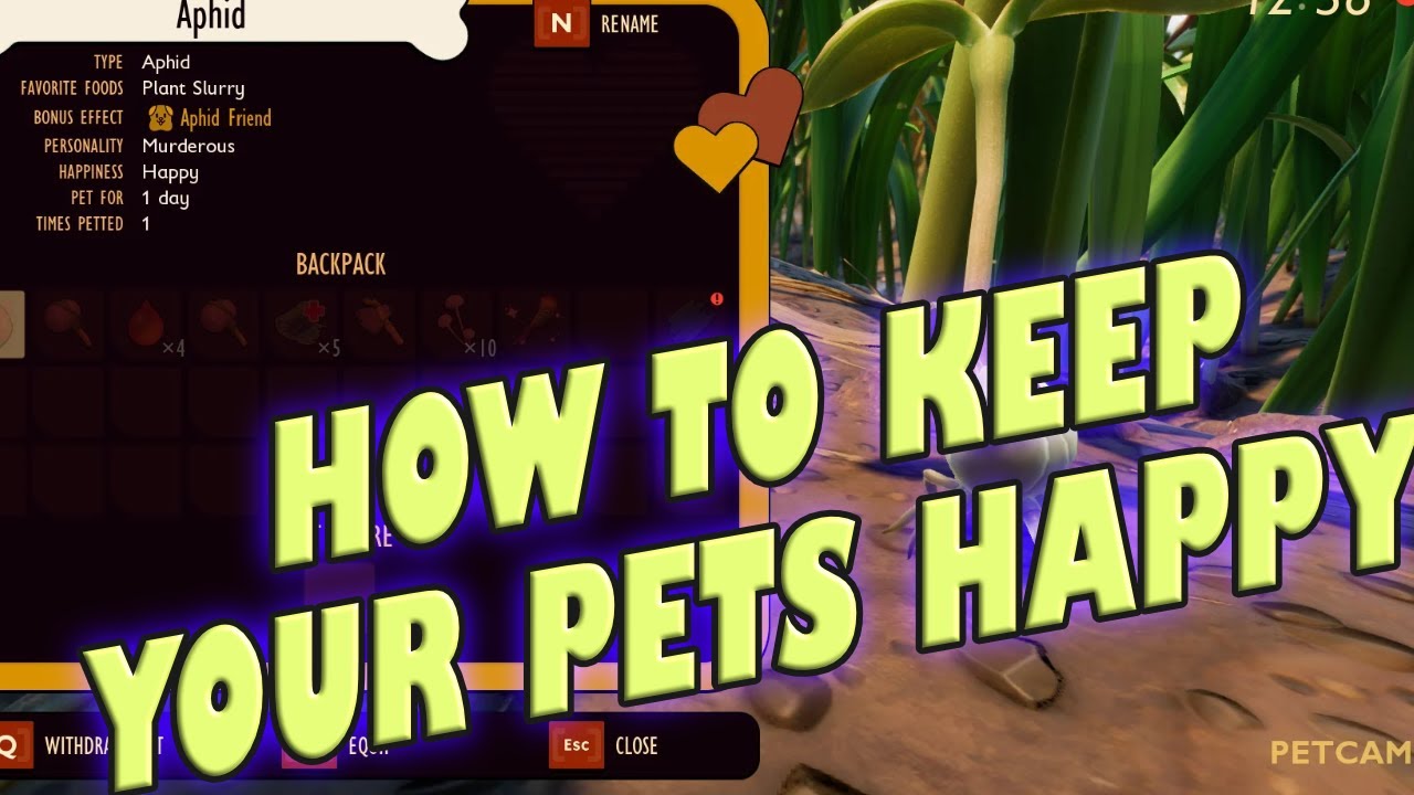 How to keep your pet happy in Grounded | The current Problems with pets on Grounded update 10.0