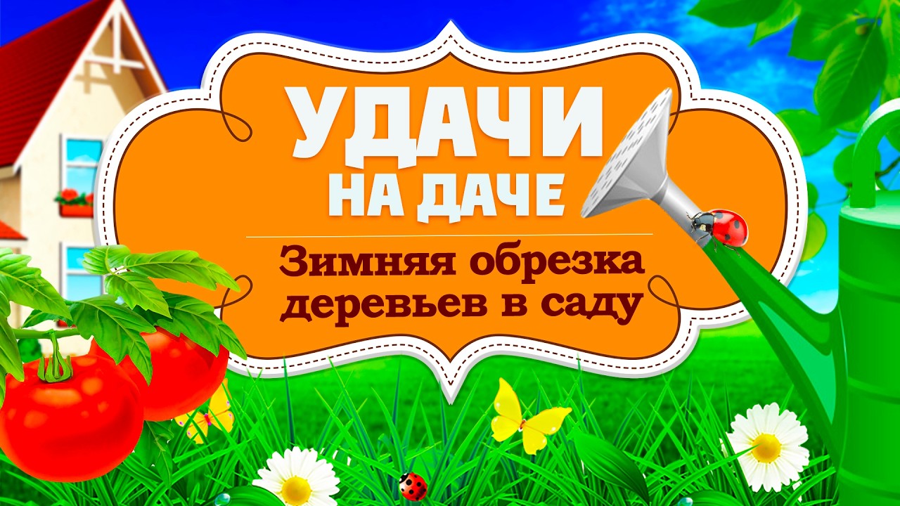 Удачи на даче. Как обрезать деревья зимой (19.02.2026)